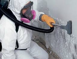 Best Mold Odor Removal Services  in Budd Lake, NJ